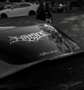 Hated Logo Vinyl
