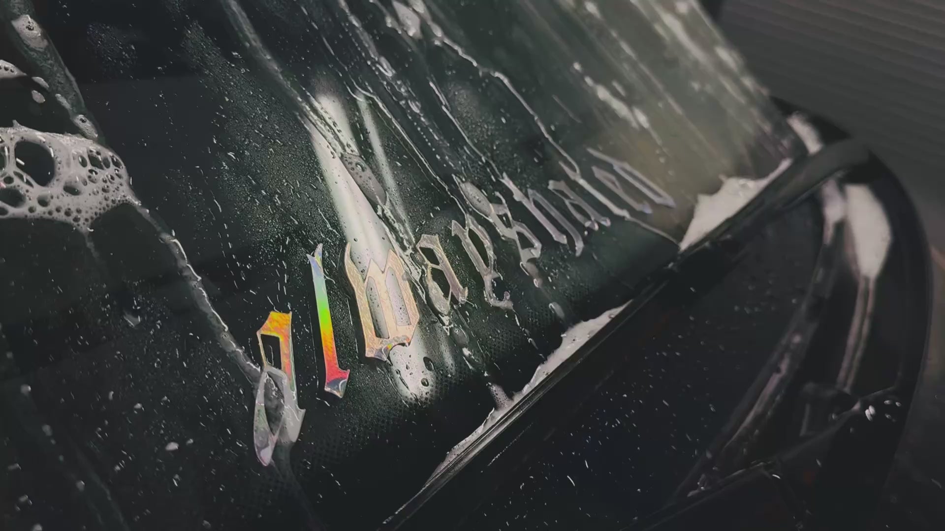 Alwayshated Vinyl